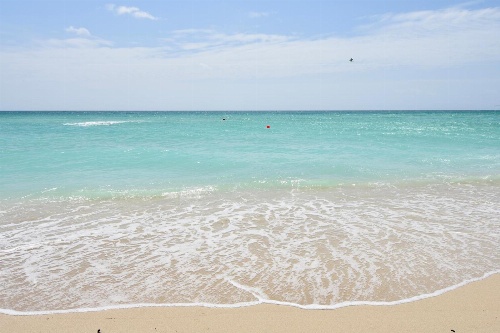 NoBeVIP at the OLSEN on the BEACH! image 1